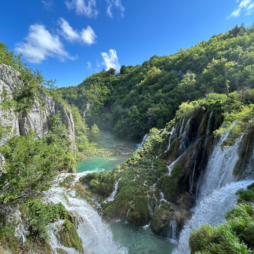 Meet your Posher, Ali